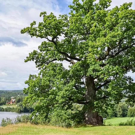 Appartamento Bjertnes Turistgard